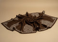Jahanara Umber Pashmina With Intricate Hand Embroidered Sozni Work Handspun and Handwoven
